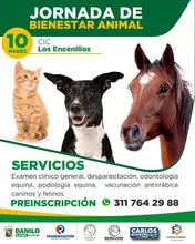 Jornada de Bienestar Animal para caninos, felinos y equinos en nuestro municipio