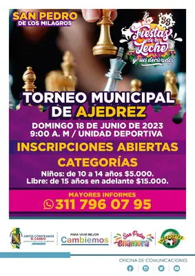 Torneo municipal de ajedrez