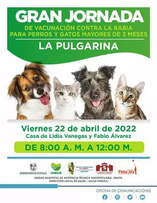 Jornada de vacunación antirrábica para perros y gatos